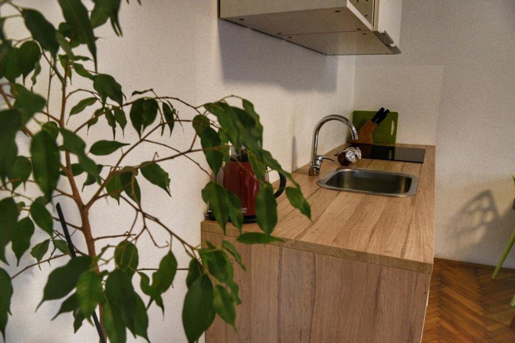 Two Flowers Apartments 자그레브 외부 사진